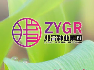 【簽約】河北兆育種業(yè)集團(tuán)有限公司，簽署網(wǎng)站改版升級(jí)合同