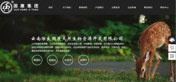 企業(yè)網站建設網站前臺設計