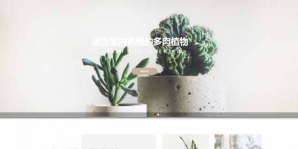 如何開發(fā)公司網(wǎng)站制作Web 前端？
