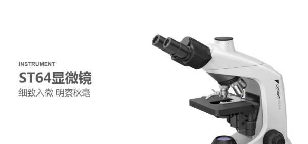 公司網(wǎng)站制作及其技術方面的解決對策