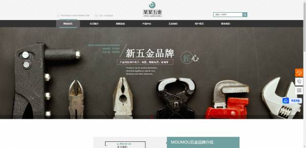 企業(yè)網站建設，具有LaTeX排版和數學可視化功能的網站建設