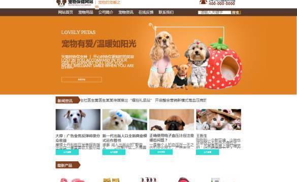 企業(yè)網(wǎng)站建設(shè)，網(wǎng)頁轉(zhuǎn)換系統(tǒng)的信息