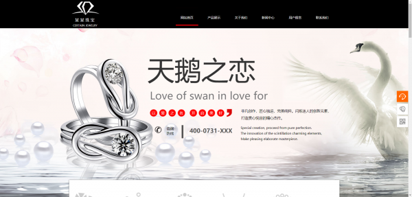 企業(yè)網(wǎng)站建設(shè)，視頻網(wǎng)站運(yùn)營(yíng)模式類別
