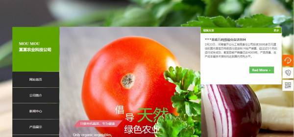 公司網(wǎng)站制作，秩序與靈動并存的網(wǎng)頁設(shè)計
