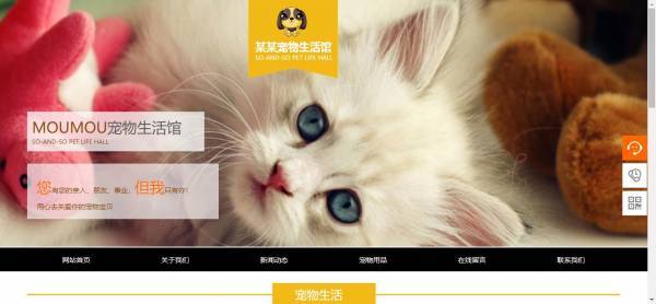 公司網(wǎng)站制作，云端訪問利用功能